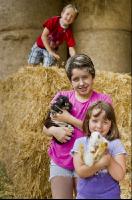 Kinder am Hof 12