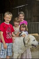 Kinder am Hof 11