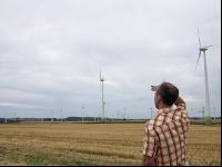 Windrad 29