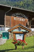 Urlaub am Reiterhof 1