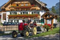 Urlaub am Bauernhof 15