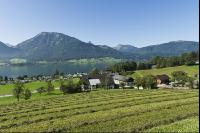 Urlaub am Reiterhof 6