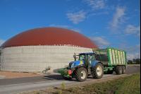 Maisernte Silage J 24