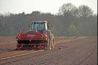 Kartoffeln legen J 13