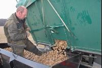 Kartoffeln legen J 4