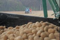 Kartoffeln legen J 3