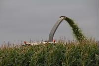 Maisernte Silage J 10