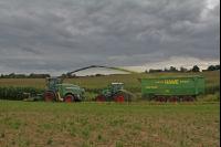 Maisernte Silage J 9