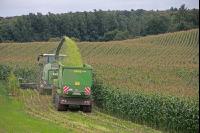 Maisernte Silage J 8