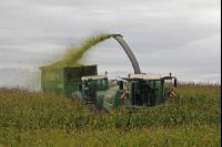 Maisernte Silage J 7