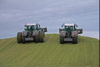 Maisernte Silage J 17
