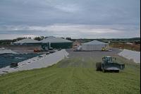 Maisernte Silage J 16