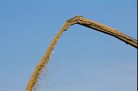 Maisernte Silage J 6