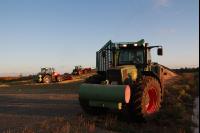 Maisernte Silage J 7