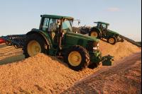 Maisernte Silage J 6