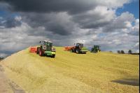 Maisernte Silage J 26