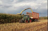 Maisernte Silage J 12