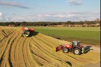 Maisernte Silage J 34