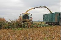 Maisernte Silage J 11