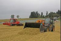 Maisernte Silage J 30