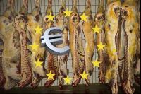 Rinderhälften EU Stern