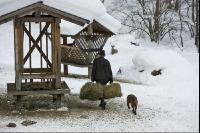 Wildfütterung 4