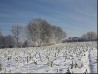 winterimpressionen 1