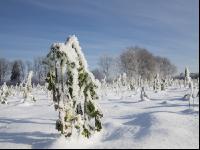 winterimpressionen 2