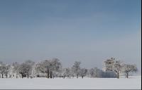 winterimpressionen 5