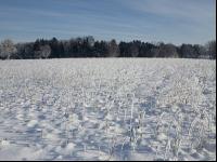 winterimpressionen 6