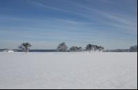 winterimpressionen 8