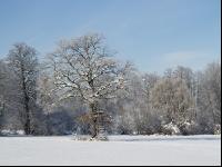 winterimpressionen 9