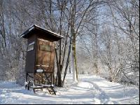winterimpressionen 10