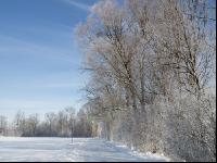 winterimpressionen 11