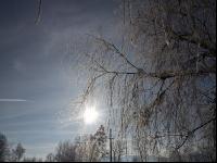 winterimpressionen 13