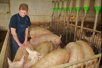Duldungsreflex testen J 2