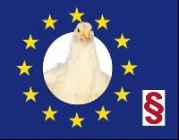 EU Gesetz Masthähnchen