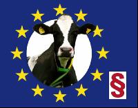 EU Gesetz Rinder
