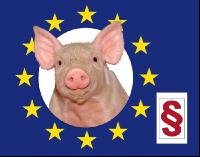 EU Gesetz Schweine