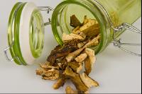 Steinpilz 2
