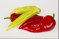 Paprika 13