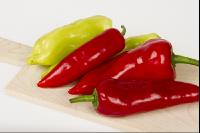 Paprika 17