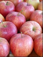 Apfel 10