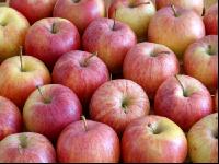 Apfel 11