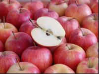 Apfel 13
