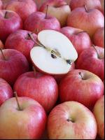 Apfel 14