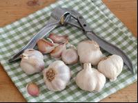 Knoblauch 10