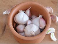 Knoblauch 9