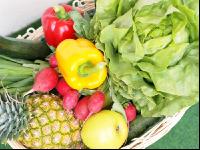 Obst und Gemüse 8