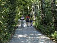 Wandern 16